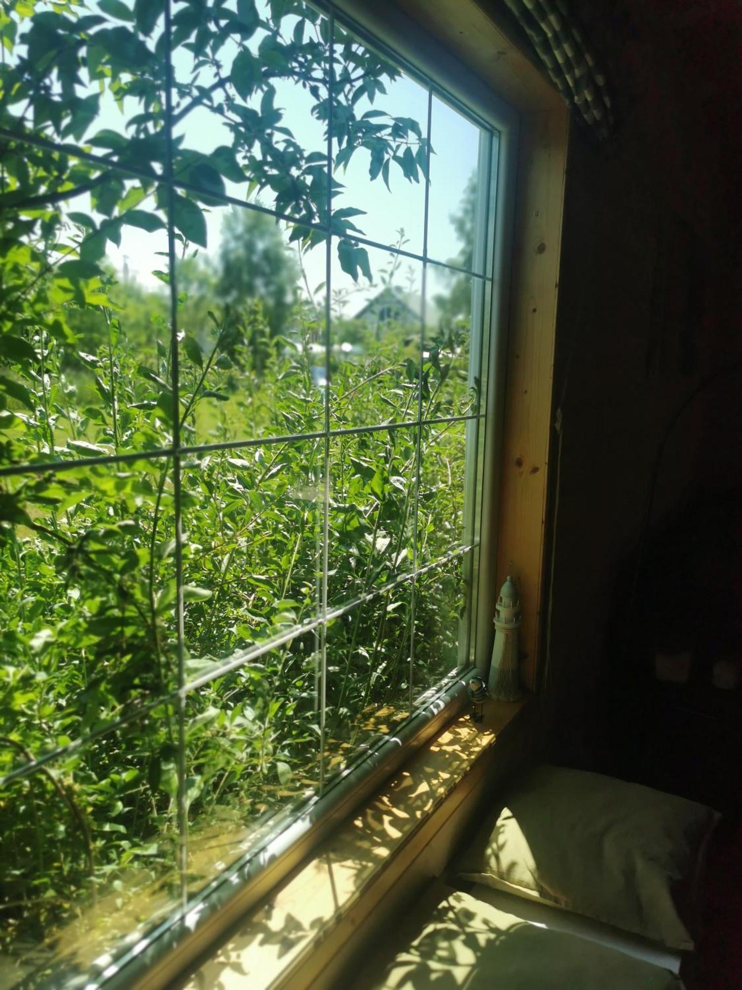 Stilove Wydmy Sasino Habitación foto